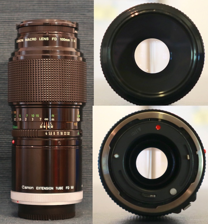 Canon New FD 100mm Macro F4 (JT OH) w/ Life Size Extension - 2